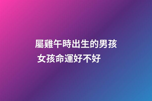 屬雞午時出生的男孩 女孩命運好不好